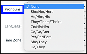 Canvas Pronouns Selection Menu