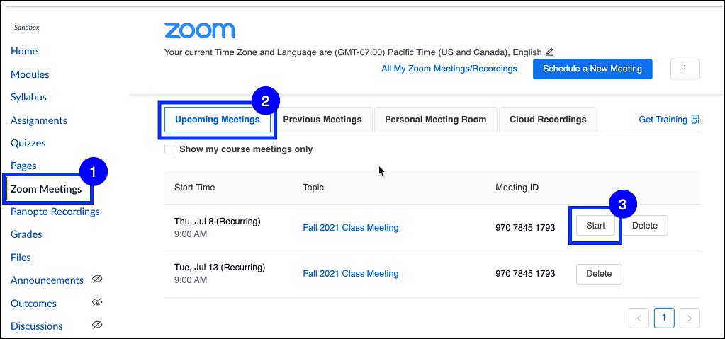 Zoom meetings interface in Canvas showing upcoming meetings
