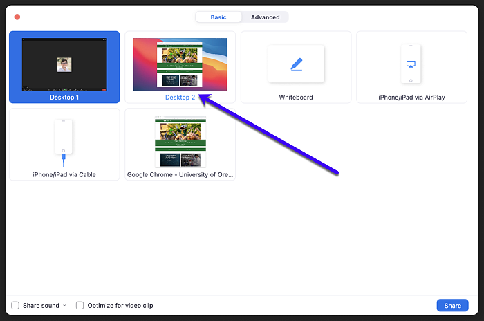 Screens to choose when screen sharing in Zoom