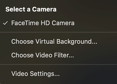 Zoom video settings