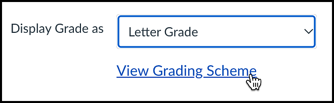 Canvas view grading scheme in assignment setup