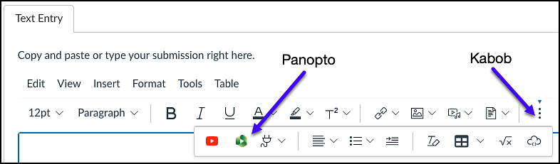 Rich Content Editor toolbar in Canvas showing the Panopto button