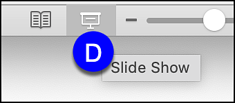 powerpoint slide show option