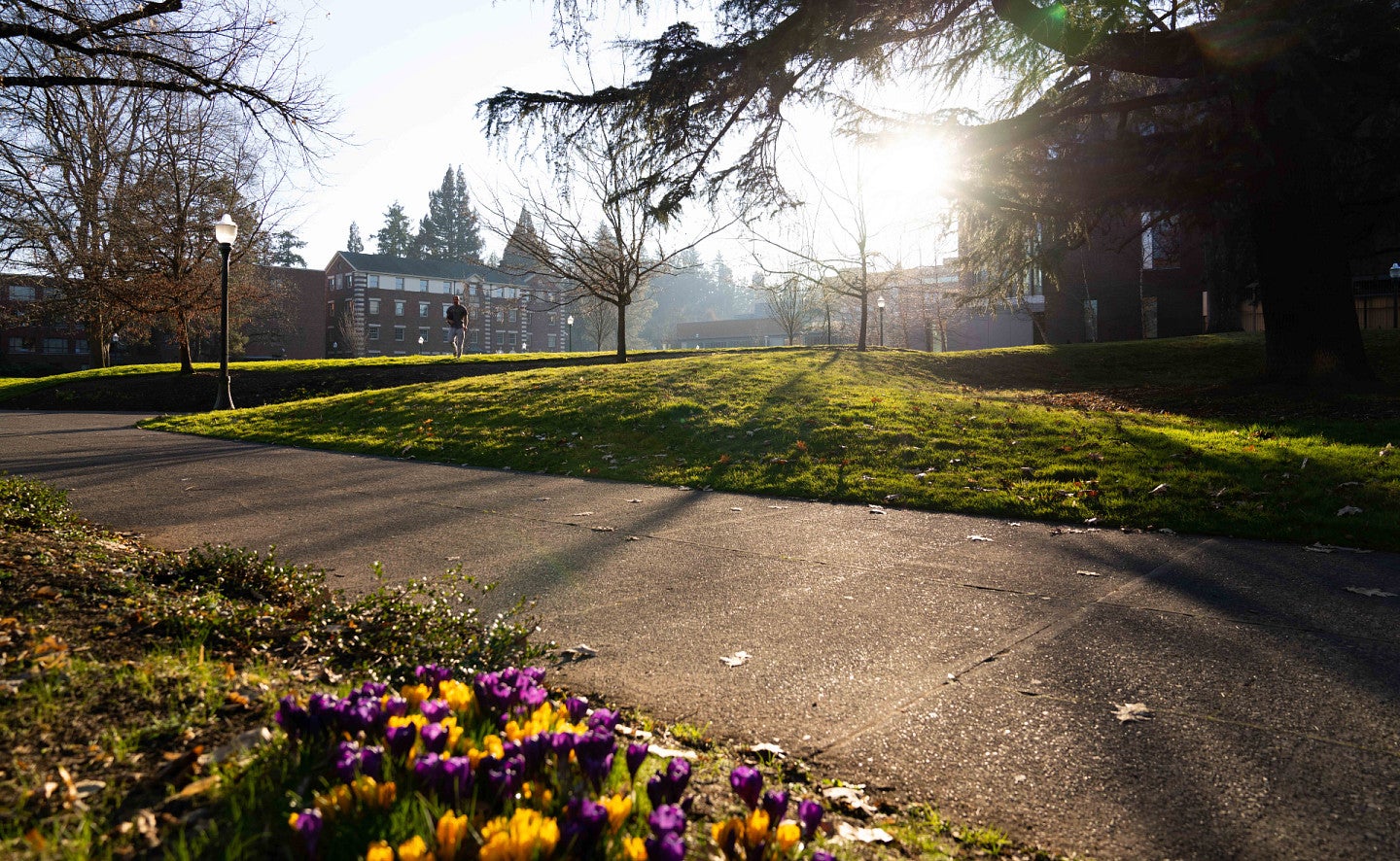 flowers on campus