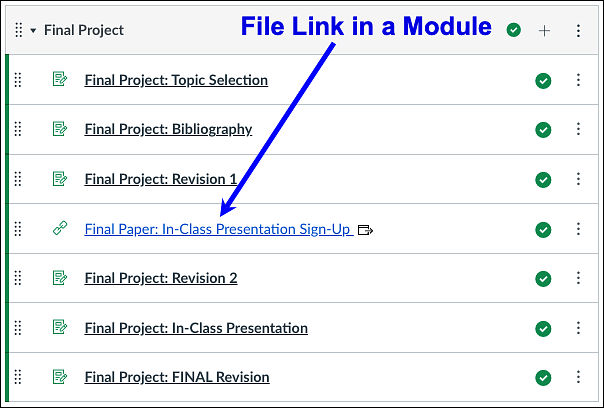 OneDrive Document Linked in Module