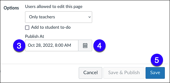 canvas set publish at day and time