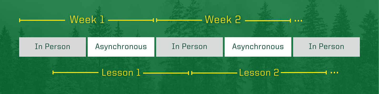 Diagram of two-week in-person and asynchronous sequence