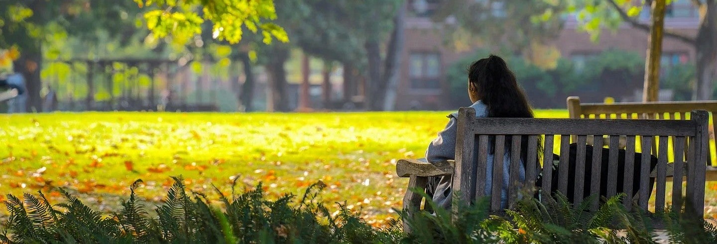 Student on bench