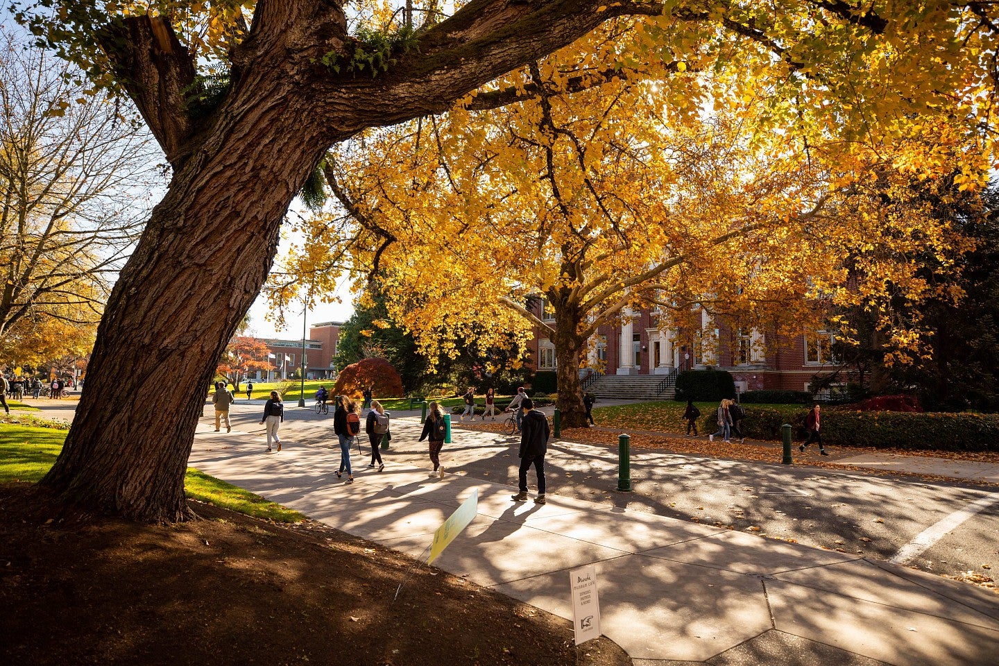 campus during fall