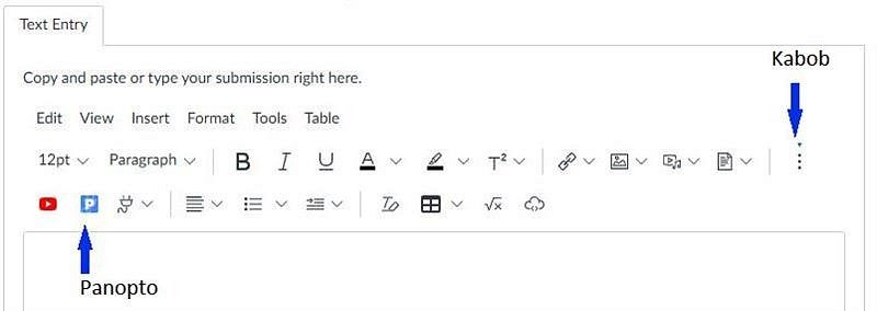 rich text editor with arrows pointing to kabob and Panopto icon