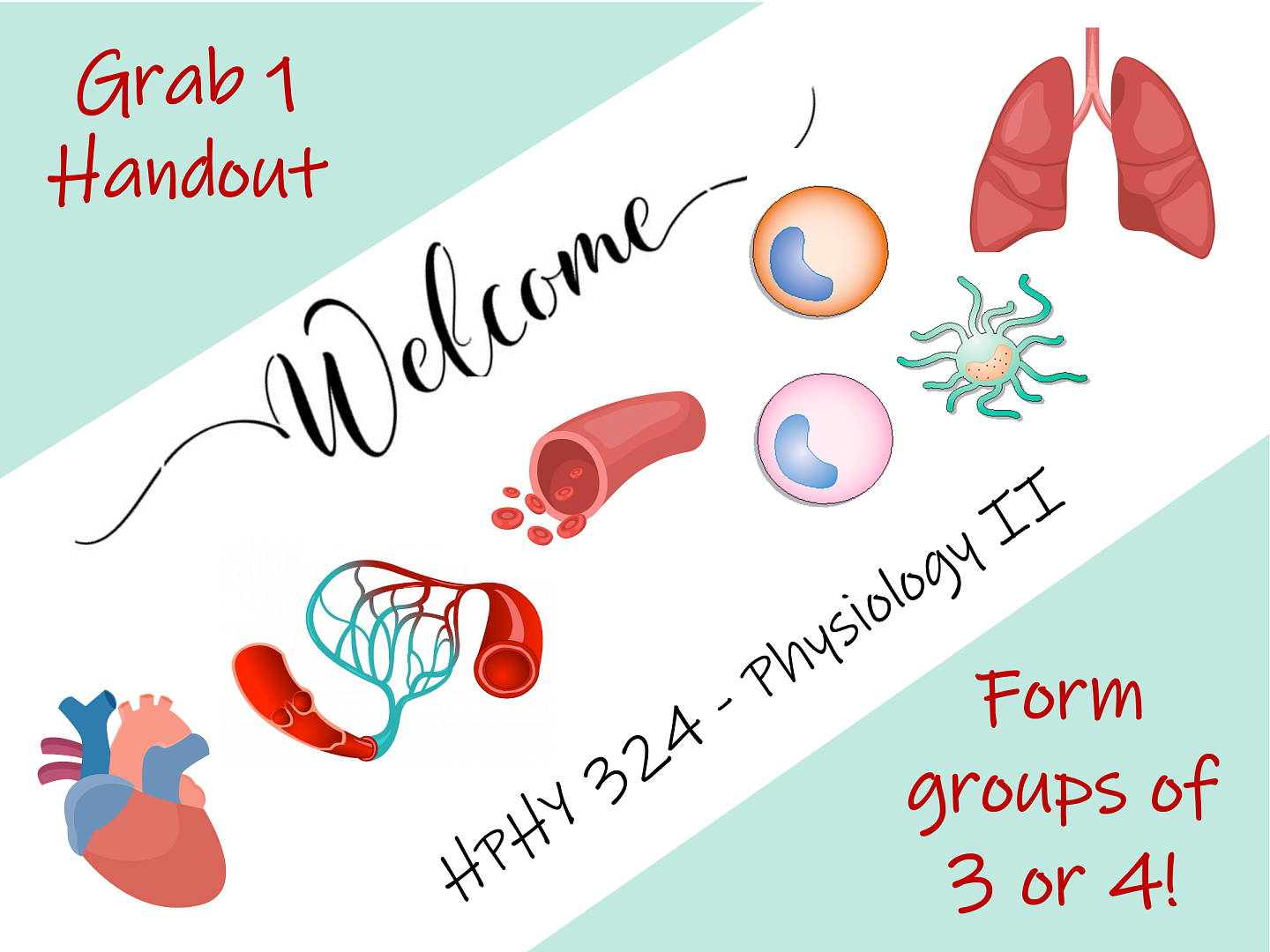 POGIL Sample Slide - Directions