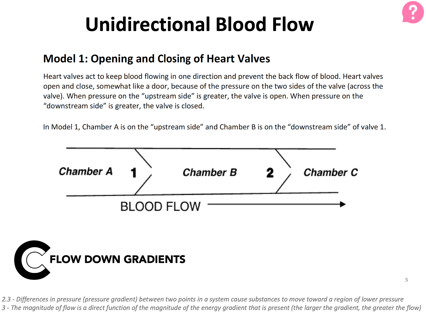 POGIL sample slide - model for unidirectional blood flow