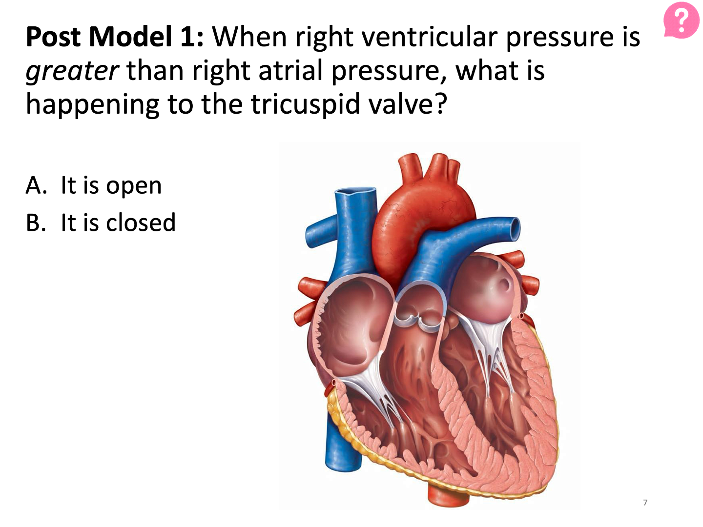 POGIL Sample - wrap up question