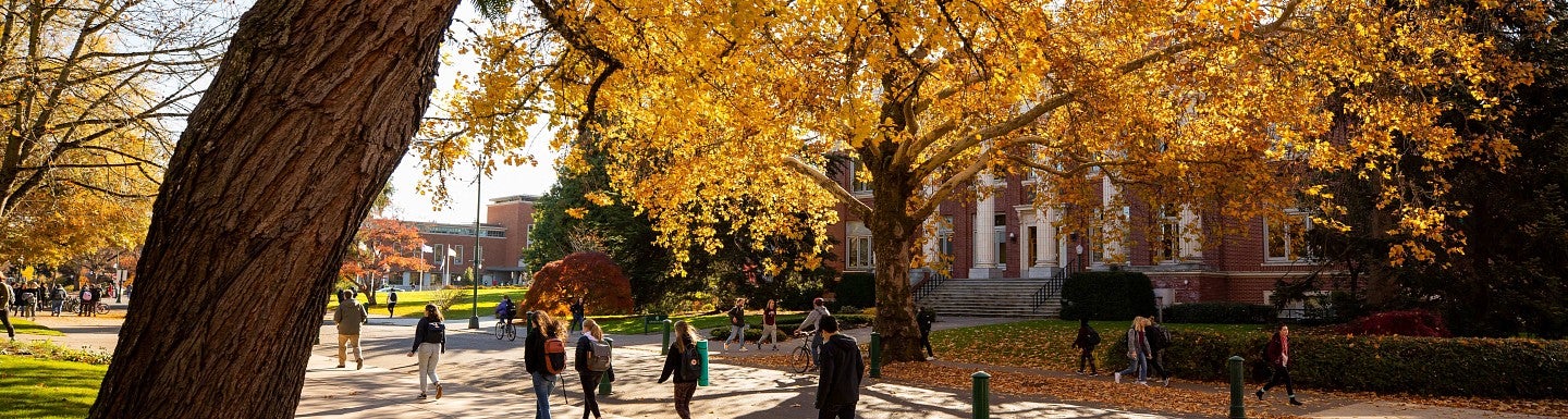 campus during fall