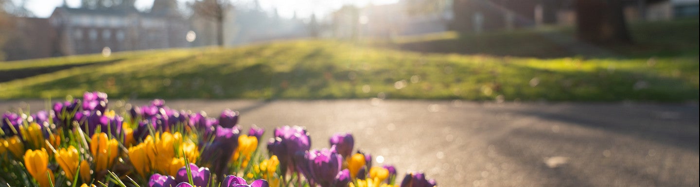Flowers on Campus