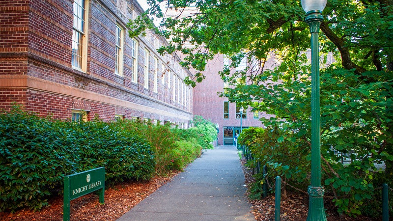 view of sidewalk to library building