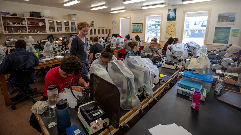 Students in a marine biology lab