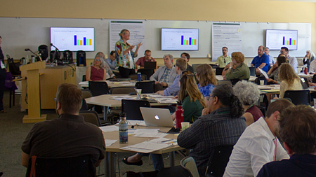 Faculty engaged in a workshop