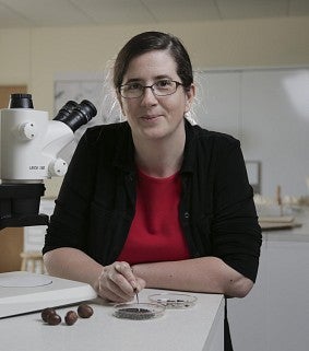daphne gallagher