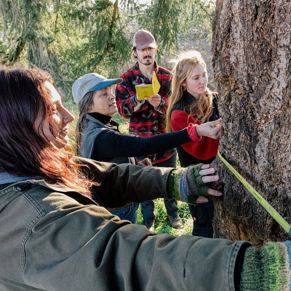 peg boulay with students measuring a tree