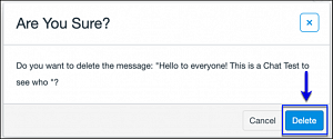 Canvas Chat Confirm Delete Window