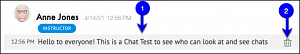 Canvas Chat Window Delete Message