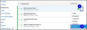 Canvas file copy to