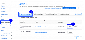 Zoom meetings interface in Canvas showing upcoming meetings