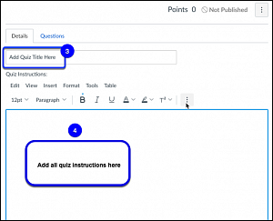 canvas new quiz details tab
