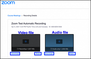 canvas zoom download recorded meetings options