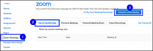 zoom interface in canvas