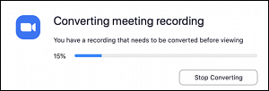 Zoom meeting file conversion window
