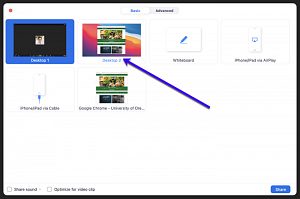 Screens to choose when screen sharing in Zoom