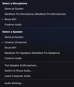 Zoom Audio Settings menu