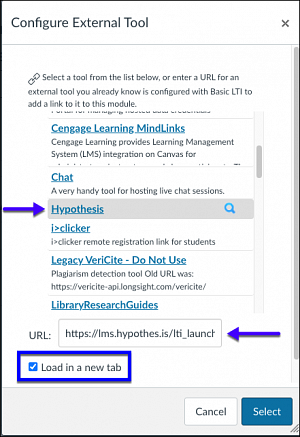 Hypothesis Configure External Tool window - Select the tool, open in a new tab is checked.