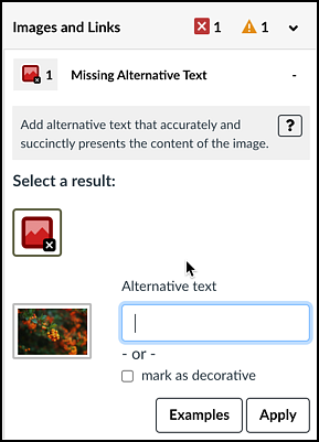 PopeTech Missing Alternative Text Error