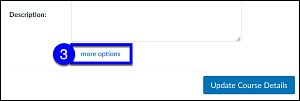 Canvas settings details tab more options