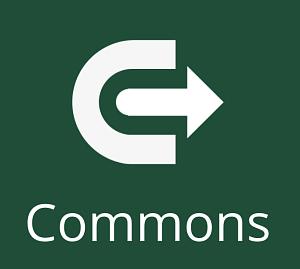 Canvas Commons Icon