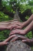 Ten hands on the trunk of a tree
