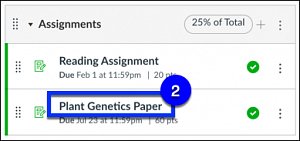 Canvas Assignment Header