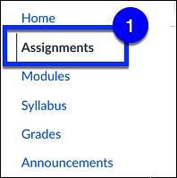 Canvas Navigation Assignments