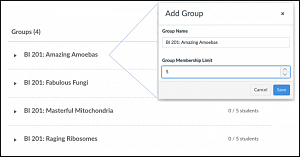 Canvas Add Group window in manual mode
