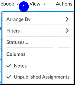 Canvas Gradebook View Menu Options