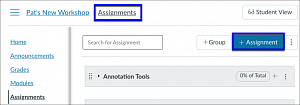 Canvas Assignments page showing +Assignment button.