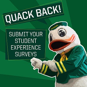 student experience surveys