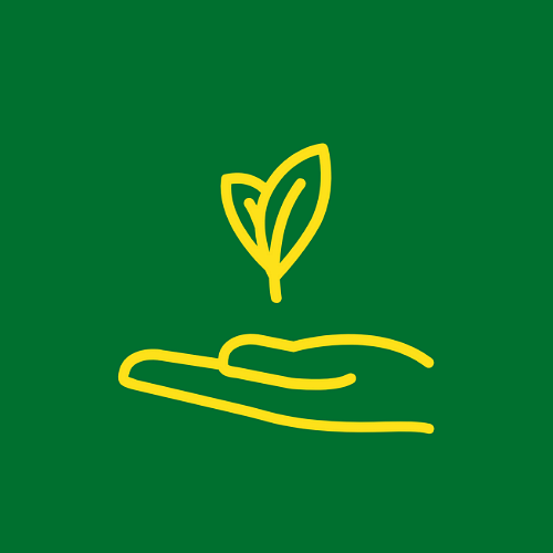 icon of hand holding a budding leaf 