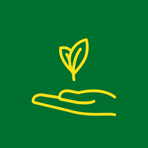 icon of hand holding a budding leaf